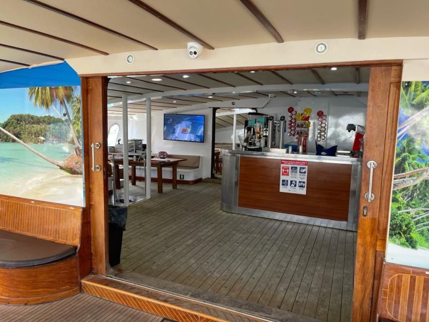Puerto Rico : 2 hour Dolphin Catamaran Excursion - Price and Value: What You Get for About $41