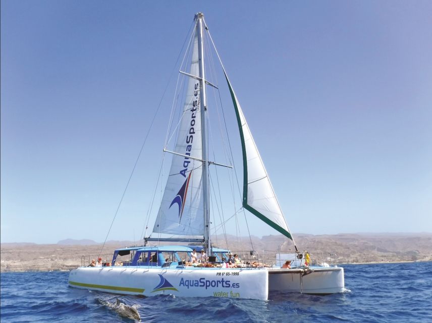 Puerto Rico: 4-Hour Catamaran Excursion in the South - Key highlights worth planning around