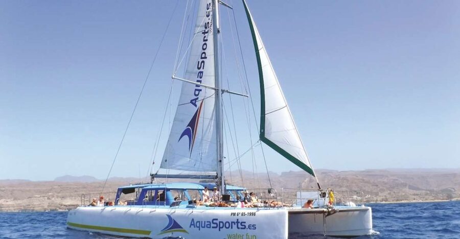 Puerto Rico: 4-Hour Catamaran Excursion in the South - Getting to Puerto Rico Base from the south without wasting time