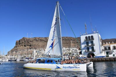 4-Hour Catamaran Excursion in the South