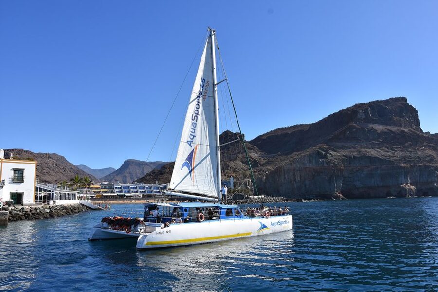 Puerto Rico: 4-Hour Catamaran Excursion in the South - Extras, safety, and the small decisions that prevent big headaches