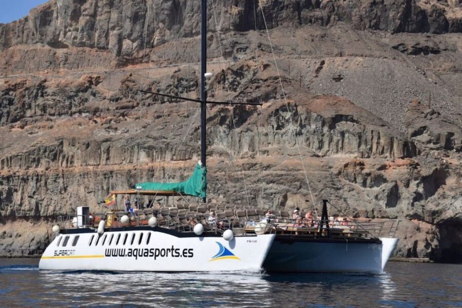 Puerto Rico de Gran Canaria: Premium Dolphin Catamaran Tour - Price and value: what $75 really covers