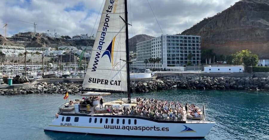 Puerto Rico de Gran Canaria: Premium Dolphin Catamaran Tour - The cruise portion: sea caves, cliffs, and a real chance to relax