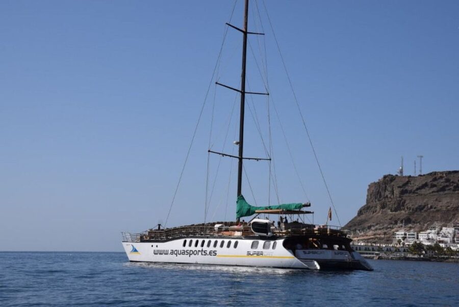 Puerto Rico de Gran Canaria: Premium Dolphin Catamaran Tour - Onboard comfort: big catamaran, soft seats, and a crew that keeps it moving