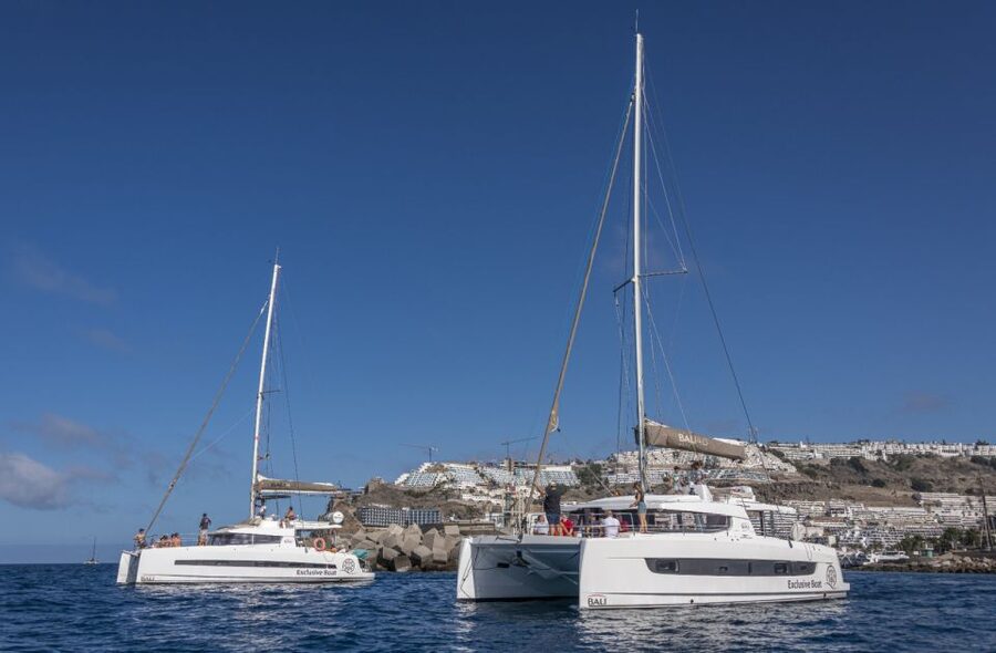 Puerto Rico de Gran Canaria: Private Catamaran Charter - Private charter from Puerto Rico: what you gain beyond the basics