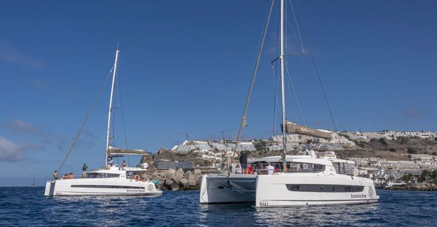 Puerto Rico de Gran Canaria: Private Catamaran Charter - Optional extras like jet skis and parasailing