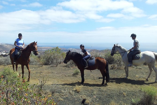 Relaxing Horse Riding Tour in Gran Canaria - Key highlights I’d plan around