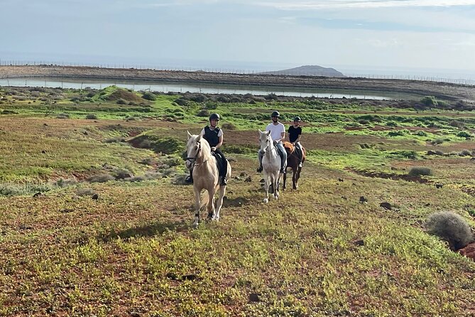 Relaxing Horse Riding Tour in Gran Canaria - Horse Riding Canaria is a calm break from Las Palmas