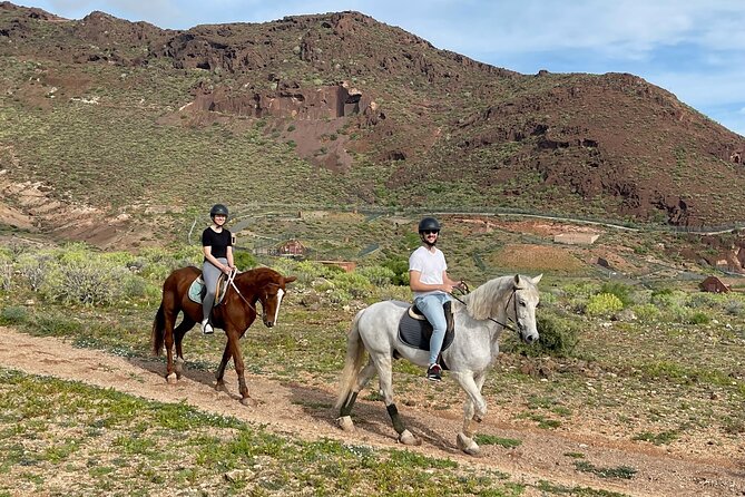 Relaxing Horse Riding Tour in Gran Canaria - Who this horse riding tour is for