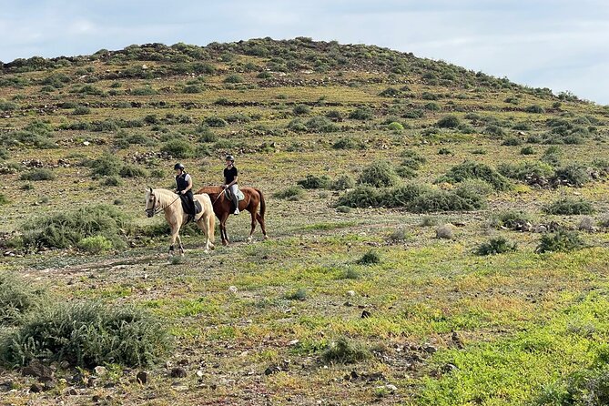 Relaxing Horse Riding Tour in Gran Canaria - Practical tips for booking and showing up