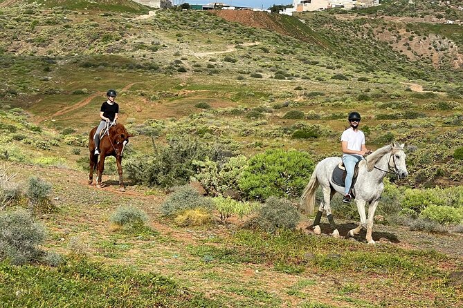 Relaxing Horse Riding Tour in Gran Canaria - Should you book this horseback ride in Gran Canaria?