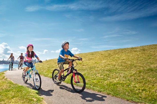 Rent City Bike 18 gears from 4 hours to 7 days: Visit Maspalomas - Yacimiento Punta Mujeres, circular Guanche homes right on the promenade