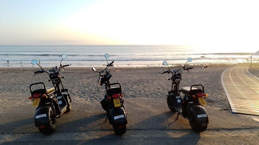 Rent e-Scooter 2 seat from 1 till 4 Hour: Explore Maspalomas - Maspalomas Botanical Garden: a calmer, plant-filled break