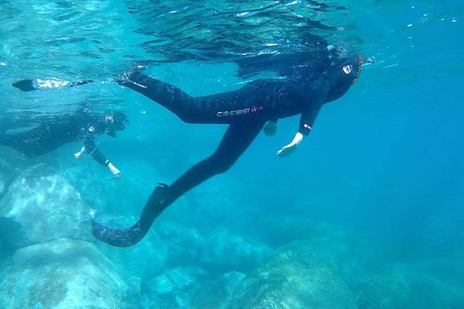 Snorkeling in Gran Canaria with Hotel Pick-up - Who this snorkeling safari is best for