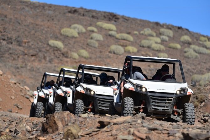 South Gran Canaria Buggy Tour - Key things to know before you go