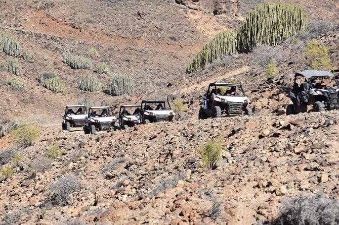 South Gran Canaria Buggy Tour - Value check: what $181.48 per group includes, and why that matters