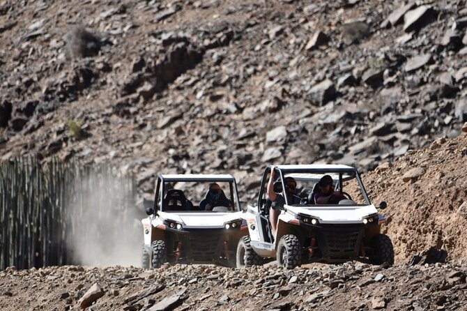 South Gran Canaria Buggy Tour - The one-star warning about buggy condition, and how you protect yourself