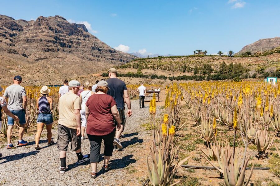 South Gran Canaria: Off-Road Valleys & Villages Jeep Tour - Quick highlights