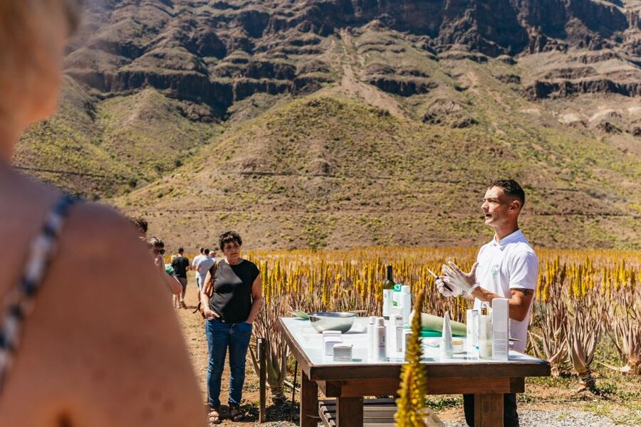 South Gran Canaria: Off-Road Valleys & Villages Jeep Tour - Final viewpoint at Mirador Las Moscas and your return to the south