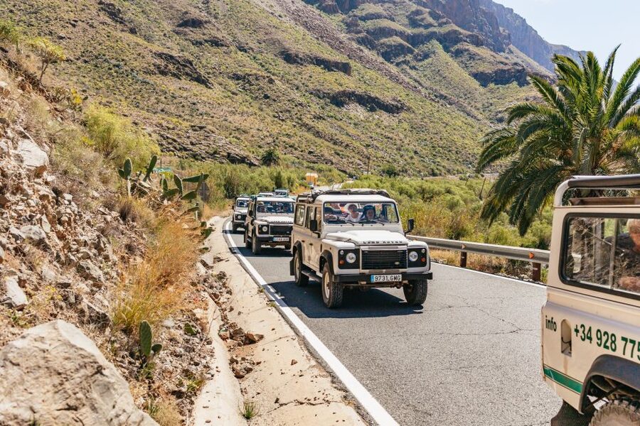 South Gran Canaria: Off-Road Valleys & Villages Jeep Tour - Mirador Astronómico de la Degollada de las Yeguas: a quick stop with a cool angle