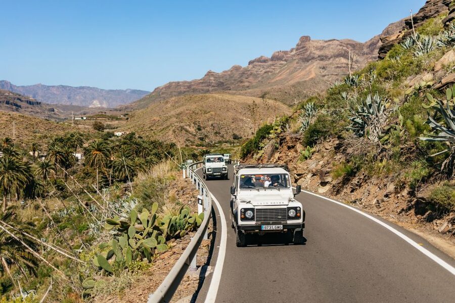 South Gran Canaria: Off-Road Valleys & Villages Jeep Tour - Valley of the Thousand Palms and Fataga: where the island surprises you