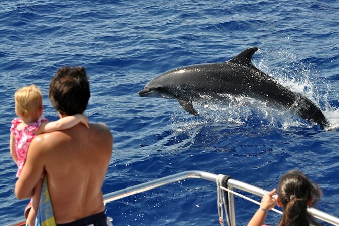 Spirit of the Sea: Cetacean sighting in Gran Canaria - How the search works once you’re out on the water