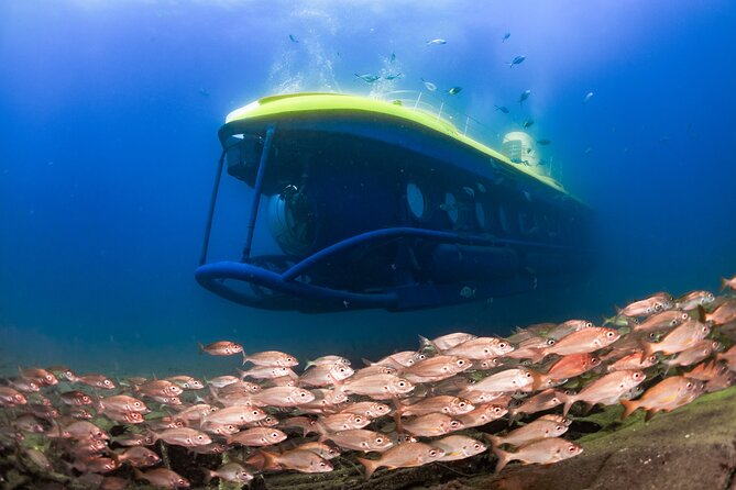 SUBMARINE ADVENTURE - Submarine Excursion in Puerto de Mogán - Quick hits before you book