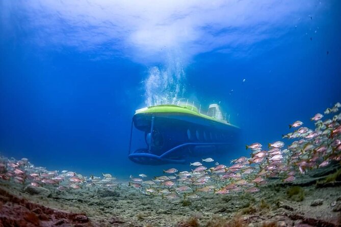 SUBMARINE ADVENTURE - Submarine Excursion in Puerto de Mogán - Audio Guides in 9 Languages, so You Understand the Reef Park