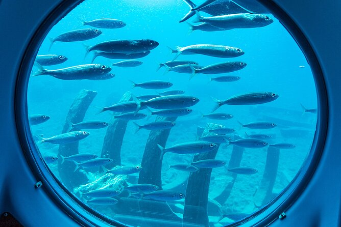 SUBMARINE ADVENTURE - Submarine Excursion in Puerto de Mogán - Price and Value, Is $45.53 Worth It?