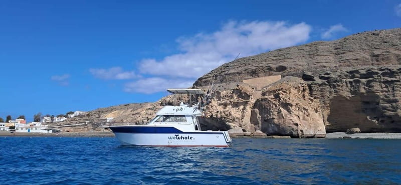 Sunset Dolphin Watching Tour on Hybrid Boat in Small Group - Key things to know before you go