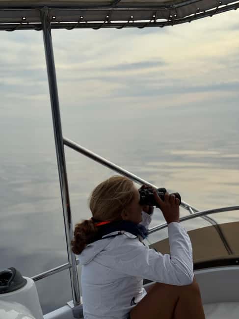 Sunset Dolphin Watching Tour on Hybrid Boat in Small Group - The route along Gran Canaria’s south coast: what happens in 2.5 hours
