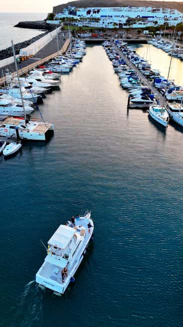 Sunset Dolphin Watching Tour on Hybrid Boat in Small Group - Small group comfort: why max 8 guests changes the vibe