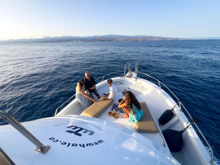 Sunset Dolphin Watching Tour on Hybrid Boat in Small Group - Price and value: is $88 worth it?