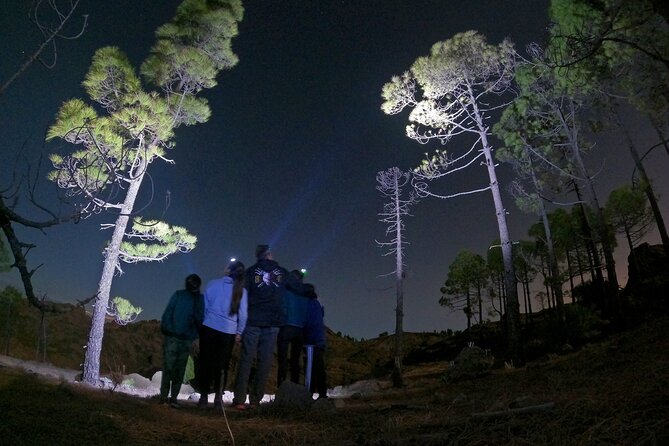Sunset Hike and Stargazing Experience in Roque Nublo Mountains - What’s Included: Front Light, Blanket, Mat, and a Snacks-First Night