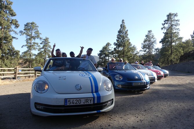 Sunset Tour in Beetle Convertible West Coast - Who this tour is best for (and who should skip it)