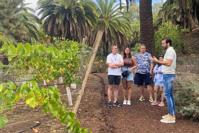 Taste Gran Canaria's unique wines - Wine House Museum: winemaker welcome, vineyards, and production