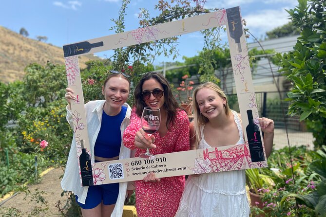 Taste Gran Canaria's unique wines - The tastings: outdoor pairings, local snacks, and real explanations
