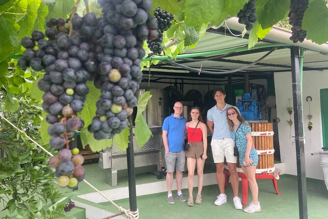 Taste Gran Canaria's unique wines - Who should book this Taste Gran Canaria wine outing