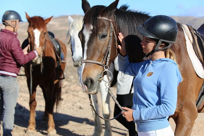 The Best Horse Riding Experience in Gran Canaria (1 hour) - Why this 1-hour horseback ride is a smart Gran Canaria add-on