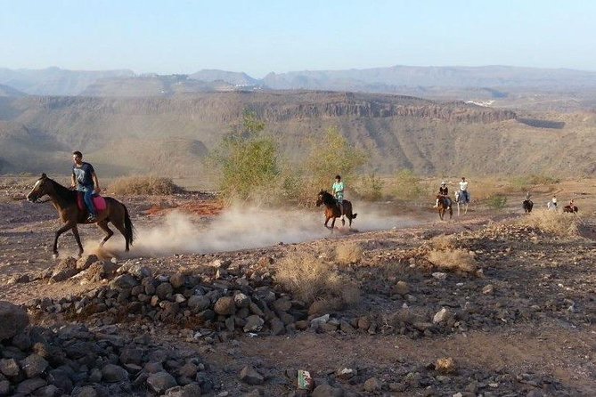 The Best Horse Riding Experience in Gran Canaria (1 hour) - Stop 1: Maspalomas views that feel huge from the saddle