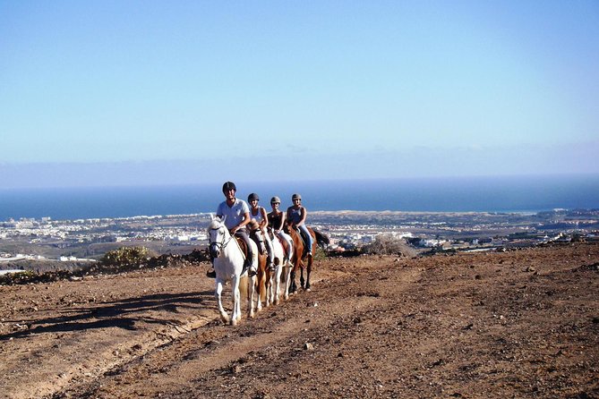 The Best Horse Riding Experience in Gran Canaria (2 hours) - Key Things to Know Before You Ride