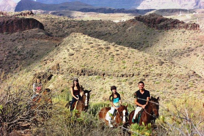 The Best Horse Riding Experience in Gran Canaria (2 hours) - Price and Value: Why $67.75 Can Feel Worth It
