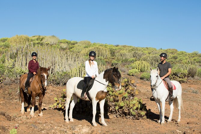 The Best Horse Riding Experience in Gran Canaria (2 hours) - Who This Horse Riding Experience Is Best For