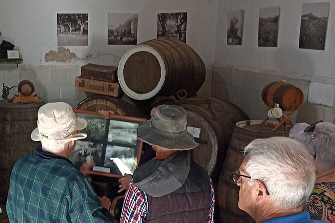 The best of Gran Canaria: 4 Hours Private Cruise Tour - Vegueta old town walk: Las Palmas history and the Americas connection