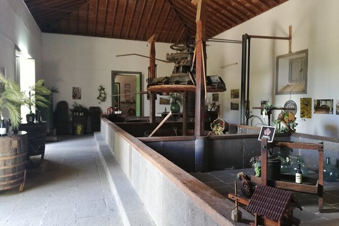 The best of Gran Canaria: 4 Hours Private Cruise Tour - Logistics that keep the day from feeling stressful