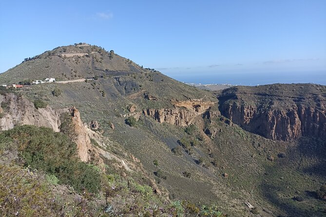 The best of Gran Canaria: 4 Hours Private Cruise Tour - Bodega San Juan and Museo del Vino: vineyards, museum, and tasting