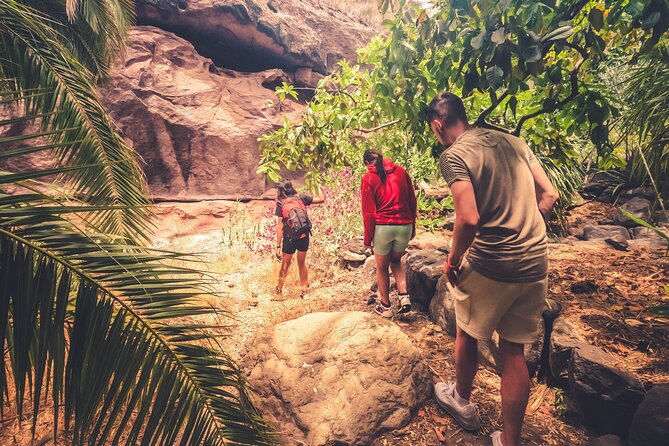 The Red Canyon Tour - Small Group Trip with Local Food Tasting ツ - Playa de Arinaga: swim time and a calmer ending away from the beach crowds