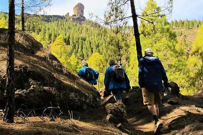 The Roque Nublo Base Camp Experience: Hiking, Picnic and Climbing - Pine-forest picnic snacks: included, and worth leaning into