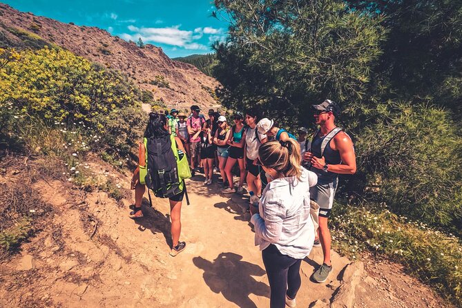 The Volcano Heart Tour: Hiking, Tasting and Sunset Experience - Why this Volcano Heart Tour beats a beach-and-bus day