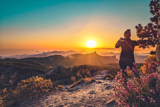 The Volcano Heart Tour: Hiking, Tasting and Sunset Experience - Caldera de Bandama: a volcanic crater you can actually picture